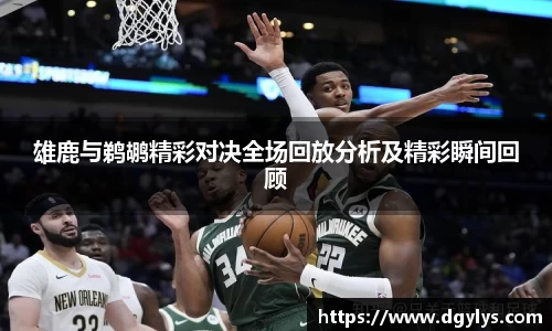 雄鹿与鹈鹕精彩对决全场回放分析及精彩瞬间回顾